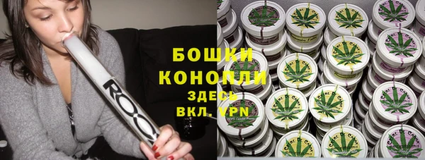кокс Белокуриха