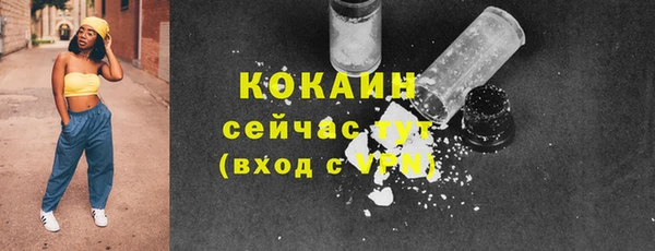 mdpv Богданович