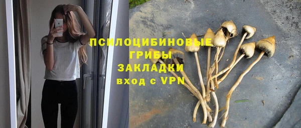 кокс Белокуриха